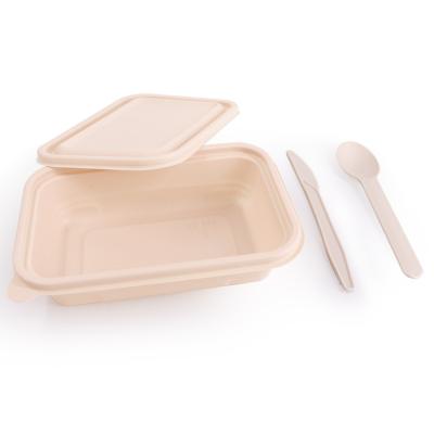 China Fast Food Tray Biodegradable Lunch Box For Food Fruit Packing Disposable Containers Take Away Cornstarch Lunch Box With Lid for sale