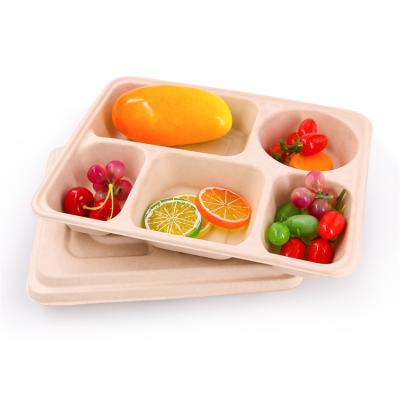 China Biodegradable Lunch Boxes 5 Compartments Food Container Microwavable Bamboo Paper Box For Outlet for sale