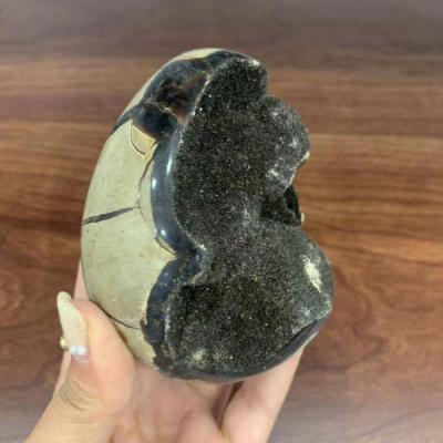 China Natural Fengshui Gemstone Group Crystal Crafts For Treasure Gifts of Europe Crystal Septarium Quartz Geode Stone for sale