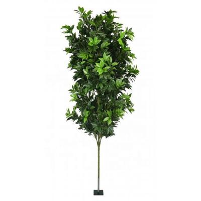 China Minimalist Hourpark Trees High Quality Evergreen Plastic Fiberglass Artificial Decorative Tree Large for sale