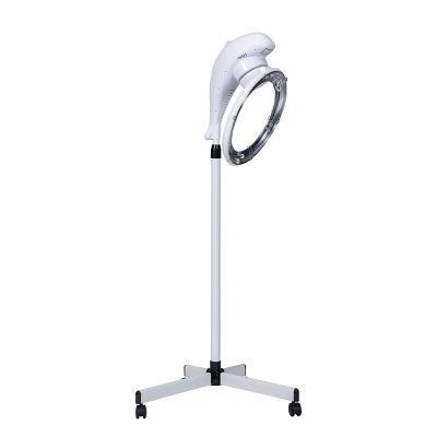 China 2021 Hot Sale Professional Wholesale Professional Commercial ABS Beauty Salon Hood Vertical Hair Dryer for sale