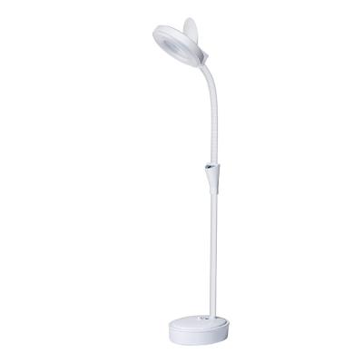 China Wholesale Beauty Salon Beauty Salon Equipment Magnifying LED Lamp 8x With Stand Led for sale