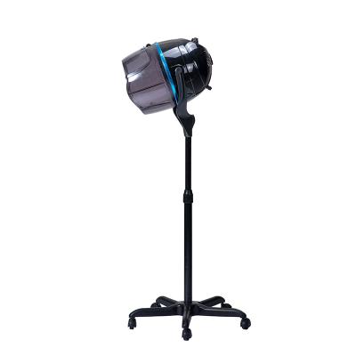 China Ionic Professional Wholesale Hot Position Beauty Hair Styling Hooded Hair Dryer for sale