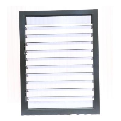 China China Manufacturer New Style Customized Aluminum Windows And Rolling Doors / Hurricane Proof Aluminum Glass Canopy Shutter for sale