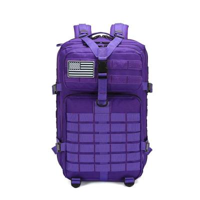 China Customized Raincoats Waterproof Molle System Camping Backpack Rucksack Military Tactical Increasing Multi Colors Soft Back Bag for sale