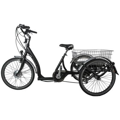 China Greenpedel 36v 350w brushless motor 3 wheel hub electric bike with GP-TR24A battery for sale