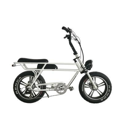 China Aluminum Alloy Greenpedel Fat Tire Throttle And Pedal Assist Electric Bike Electric Bicycle for sale