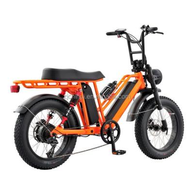 China EB-2002 2 Wheel Unisex Self Balancing Electric Bike 500W 750W Electric Scooter With CE for sale