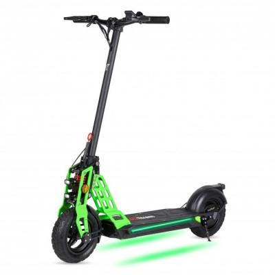 China Unisex 10 Wheel Electric Scooter 600W 2 Inch Tire Folding Electric Scooter With CE for sale