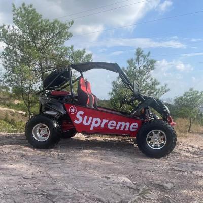 China adult go kart 200cc 2 seat go kart 12L car for sale