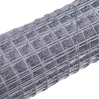 China High Quality Euro Plain Weave Holland Fence Netting /Welded Fence/Dutch Weaving Wire Mesh Fence for sale