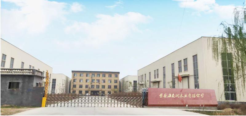 Verified China supplier - Cao County Haisenrun Wood Co., Ltd.