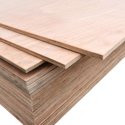 China 3mm to 25mm poplar plywood eucalyptus plywood commercial plywood EUROPE custom for sale