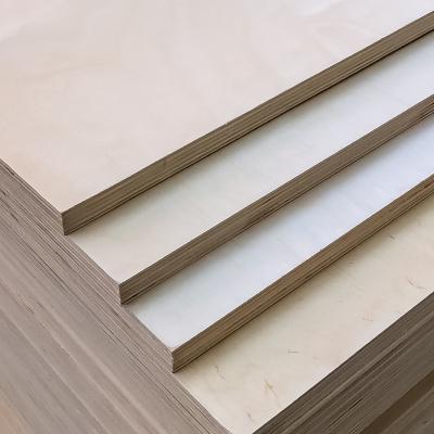 China EUROPEAN Hot Selling Birch Plywood 9mm 12mm 15mm 18mm Poplar Natural Wood Core Double Sided Surface Birch Plywood for sale