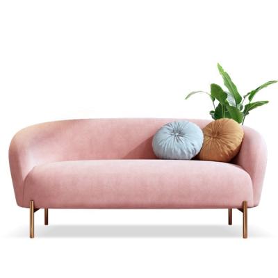 China Minimalist Cheap Pink Mini Velvet Sofa Luxury Apartment Sofa Sets Economic Couch Living Room Sofas Furniture for sale