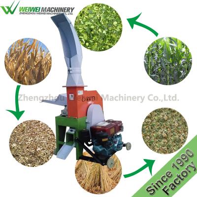 China Animal Feeding Machine 4 In 1 Stroke Grass Cutter Grass Tool Kit Multi Purpose Dealers Bangalore for sale