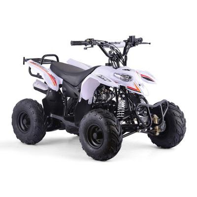 China Standard level Factory selling New Children's 110CC ATV Children's ATV All-Terrain Off-road Vehicle Children's Quad Bike for sale