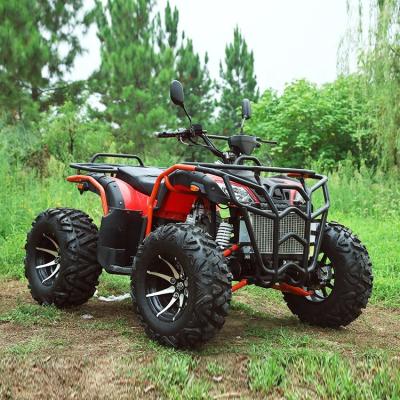 China Standard level Factory selling New 300CC ATV Adult ATV All-Terrain Off-road Vehicle Children's Quad Bike for sale