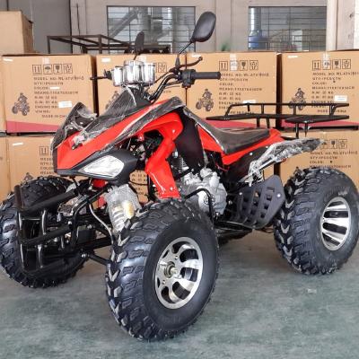 China Standard level Factory sale new adult 110-250CC ATV off-road ATV all-terrain off-road vehicle beach motorcycle for sale