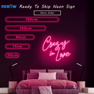 China Free shipping warehouse 50cm PVC letter advertising ip68 12V tape dropshipping acrylic tube led cable light neon sign for sale