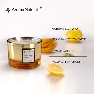 China Birthdays Aroma Naturals Scented Candle 3 Wick Custom Bed & Bath Beyond Scented Candles for sale