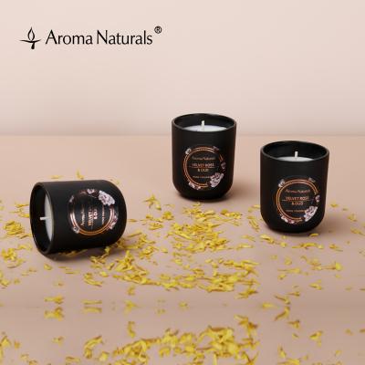 China Home Fragrance and Home Decoration Aroma Naturals Candle Glass Candles Wholesale Scented Candle Scented Candles Veils Gift Set Soybean for sale