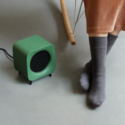 China Green Speaker Appearance New Portable Electric Electric Easy Home Fan Heater For Winter for sale