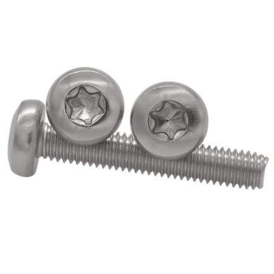 China SS304 SS316 Pan Head Torx Stainless Steel Fasteners Screw Fasteners for sale