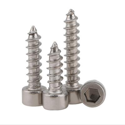 China Truss Fastener Allen Bolt Hexagon Socket Head Stainless Steel Cap Tapping Screw for sale