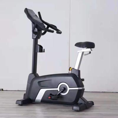 China Bargain Price Type Life Fitness Gym Equipment New Bodybuilding Upright Bike for sale