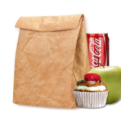 China Multifunctional Eco Lunch Bag, Tyvek Lunch Box For Women Man, Reusable Freezable Brown Paper Snack Bags For Work Picnic School for sale