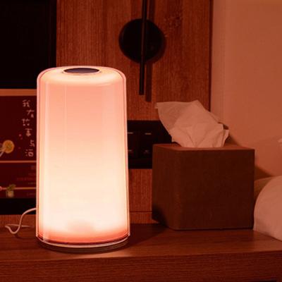 China Modern Top Warm White RGB Night Light Home Decor LED Touch Control Bedside Table Lamp Manufacturers for sale