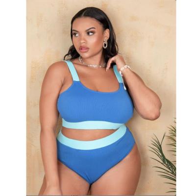 China New sexy fat lady plus size ST9203130 plus size XL xxl 3xl 4xl solid color mine bikini swimwear for sale