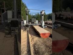Heavy Duty Band Saw