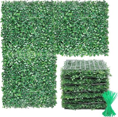 China Indoor Outdoor Decoration Artificial Boxwood Wall Panels 10