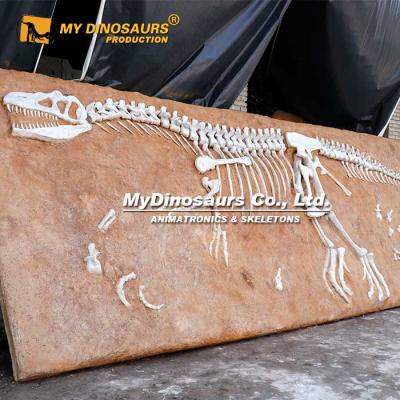 China Attractions for Dino Park MY Hot Tyrannosaurus Rex Dinosaur Fossil Replicas Dino L-100 Selling Plate for Sale for sale