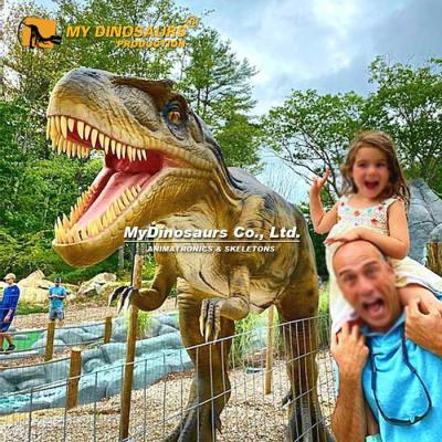 China Waterproof My Realistic Allosaurus from Dino Jurassic Park Animatronic Dinosaurs for sale