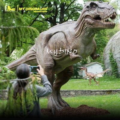 China Outdoor& Indoor Park MY Tyrannosaurus Dino AD684 Playground Equipment Life Size Animatronic Dinosaurs for sale