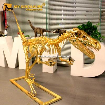 China Museum Exhibit My Dino A Dinosaur Velociraptor Life Size Golden Skeleton For Display for sale