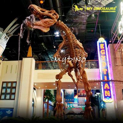 China Attractions and Decorations for Parks MY Dino DS125 Dinosaurs Extinction Fossil and T-rex Dinosaurs Skeleton for sale