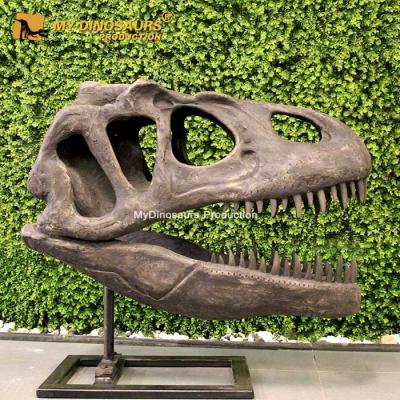 China exterior & Indoor Parks My Main Dino Dinosaur XJ176 Handmade Artificial Allosaurus Fossil for sale