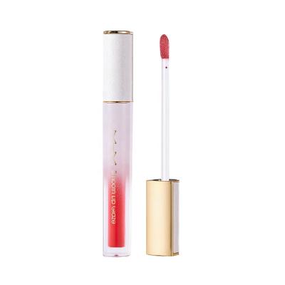 China Natural Cruelty Free Lip Gloss Private Label Cruelty Free Lip Gloss Clear Dropping Glossy Lip Gloss for sale