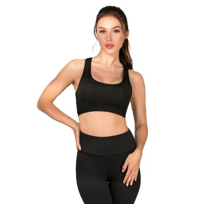 China Breathable Fitness Yoga Gym Wear Clothes Seamless Sports Ladies Fashion Sports Bra for sale