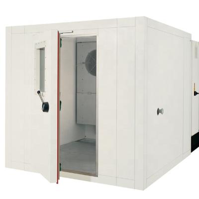 China Fresh storage 10 years warranty cold room, cold storage for frozen meat, seafood, vegetable and fruit for sale