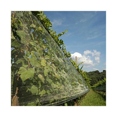 China HDPE +UV Stabilized Agricultural Anti Hail Protection Anti Hail Netting Net PE Hail Net for sale