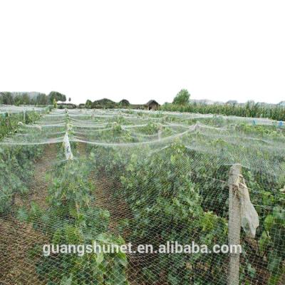 China Protect Agriculture Hail Net For Apple Tree HDPE Gauze Crystal Anti Hail Net Hail Net 40% for sale