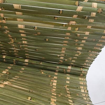 China Bamboo slat nature sukkot mat for Israel USA for sale