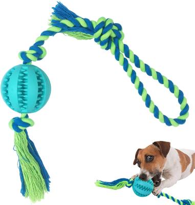 China Viable New Arrivals Popular Good Quality Dog Food Plastic Treat Ball Dog Supplies Dog Toys Pet Ball Rope Ball for sale