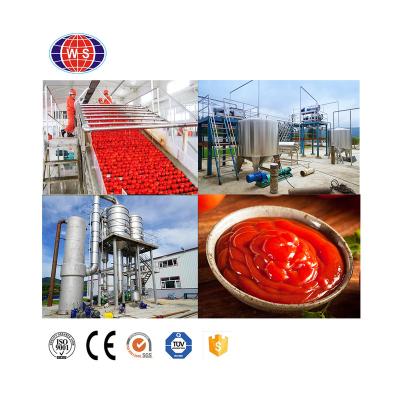 China High Efficiency Easy Operate WS New Technology High Efficiency Tomato Sauce Making Machine Production Line for sale