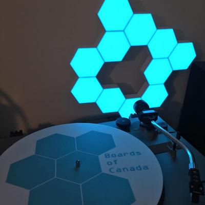 China Creative DIY Hexagon Wall Lamp Quantum Geometry Modular Touch Panel Hexagon Assembly RGB LED Night Light For Living Room Tuya for sale